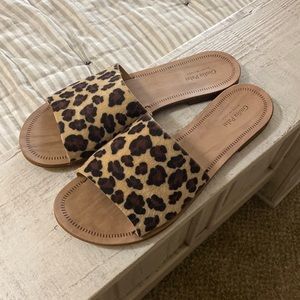 Leopard Slides